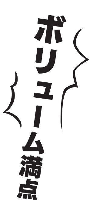 ボリューム満点